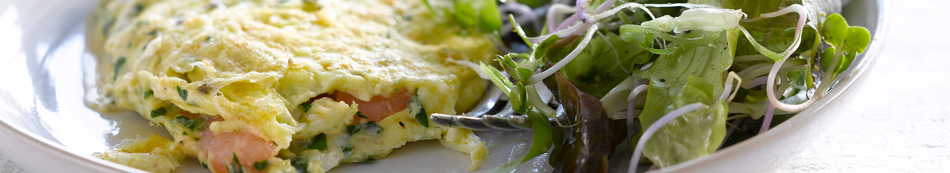 historia-home-header