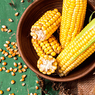 Conserva de Vegetales